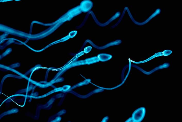 备孕很多年还是没有宝宝该怎么办,备孕经期推迟15天没怀孕怎么回事