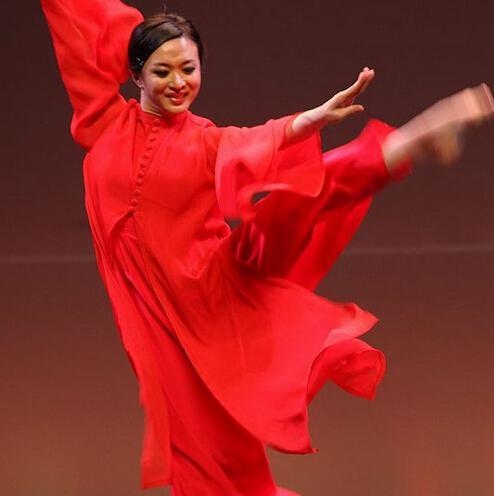 杨丽萍和金星成就,杨丽萍和金星谁的艺术成就更高