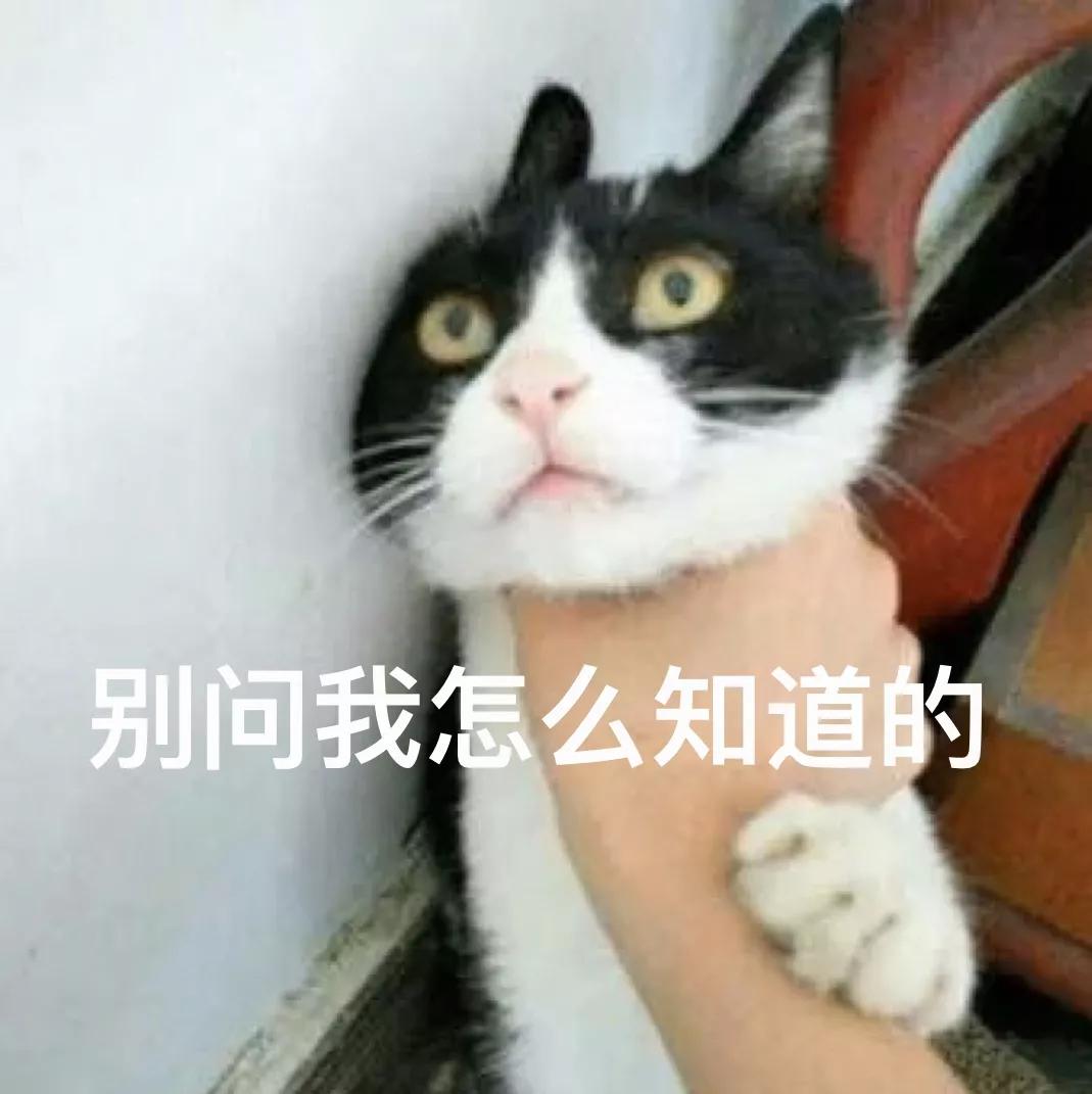 插画临摹素材网站,临摹参考网站