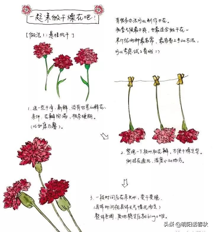 如何制作干花使其可以永久保存,如何制作干花书签