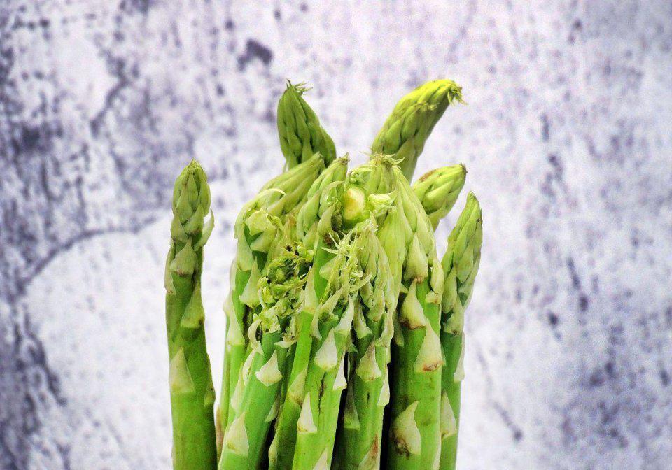 堪称天价的顶级食材,哪些顶级的食材市场上是买不到的