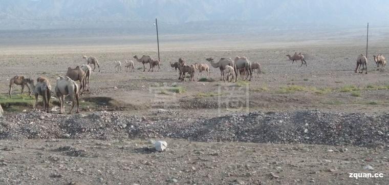 找工作招聘58同城阿克苏,58同城招聘附近找工作阿克苏