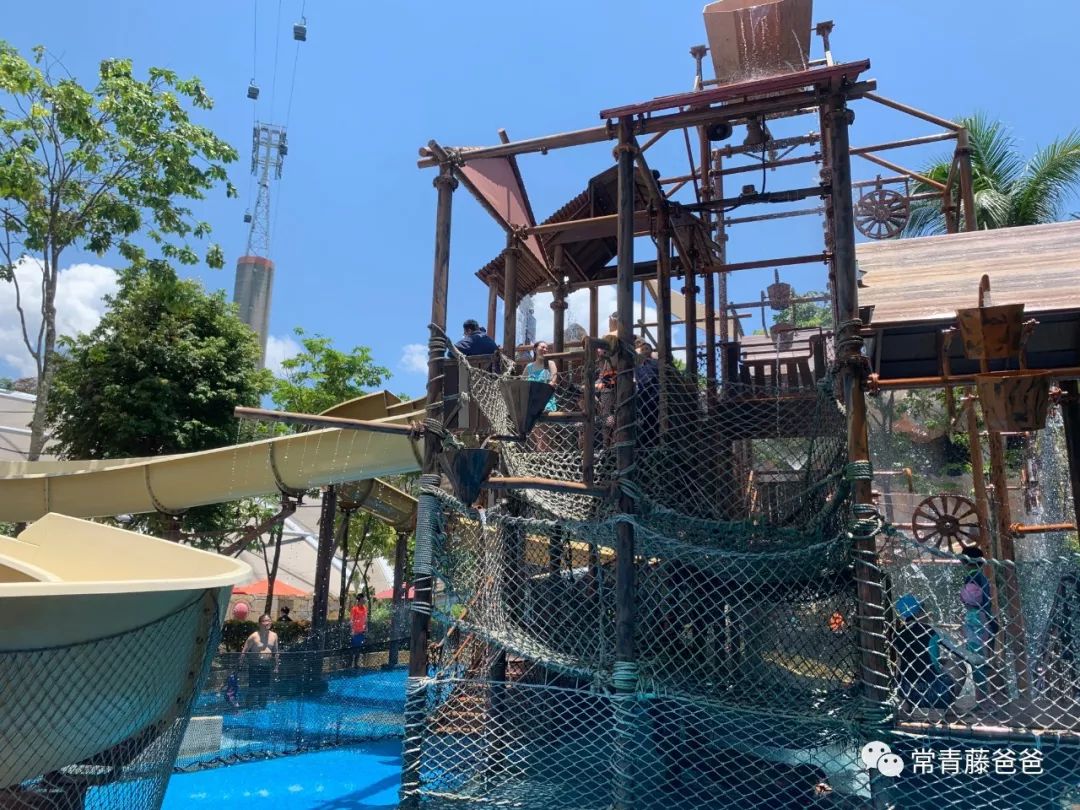 十一新加坡,十一游学新加坡