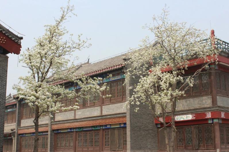 山海关大悲院景区,山海关大悲院开放吗