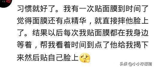 有个智障男友什么体验,有一个智障女朋友是什么样的体验