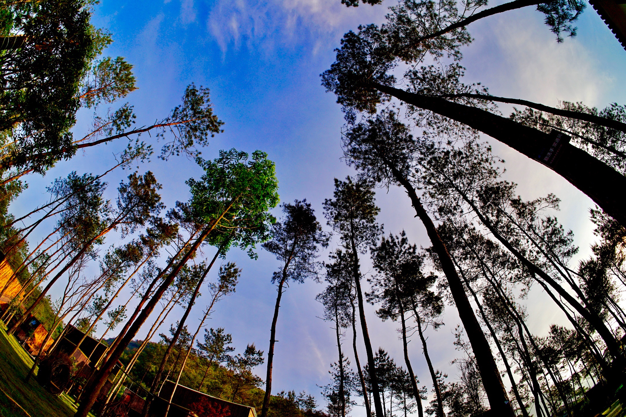 温州看日出最好的地方在哪？这个绝美日出地不容错过