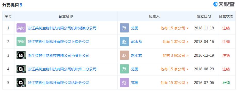 英树品牌代言人张碧晨,张碧晨英树代言人官宣