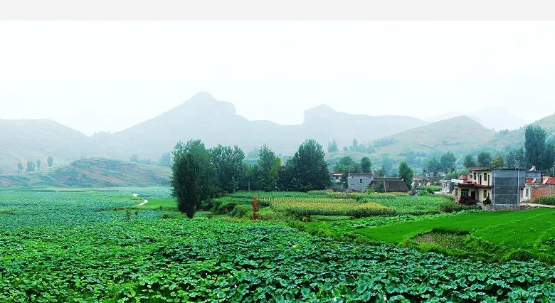 秦岭深处绝美村落,秦岭深处一座美丽的世外桃源