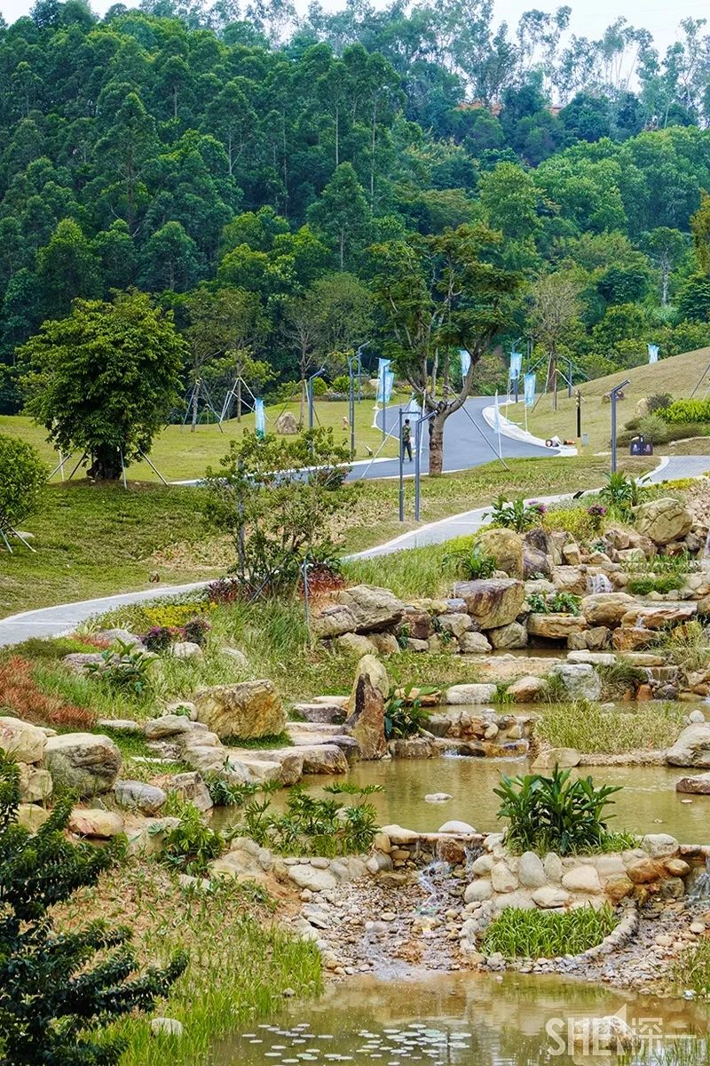 龙华新公园在哪里,深圳龙华区免费的公园