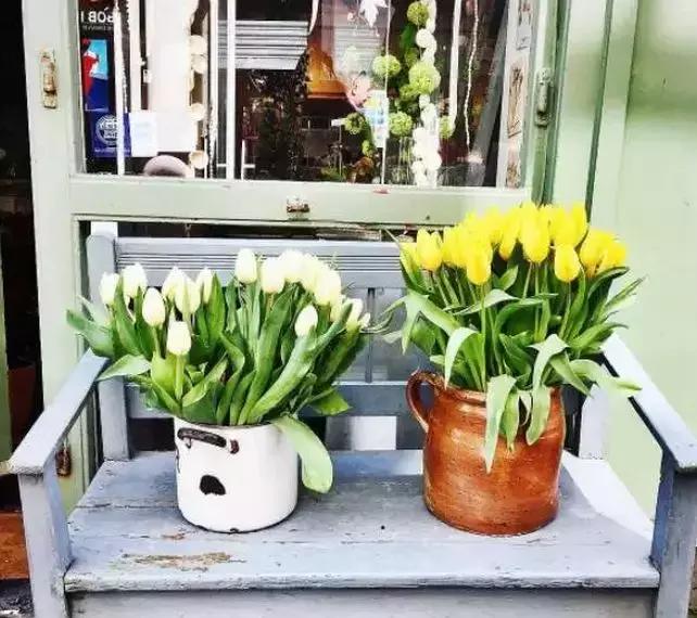 布莱顿海湾景点,布莱顿曼彻斯特城