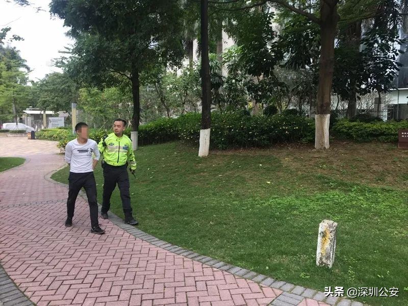 一个月查698宗交通违法,假牌上路被交警抓