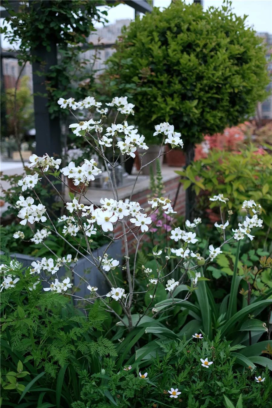 怎样打造露台花园,简单露台花园打造方法