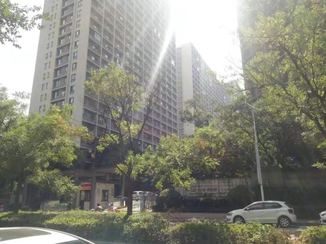 板桥地王未来5年规划,板桥地王什么时候开