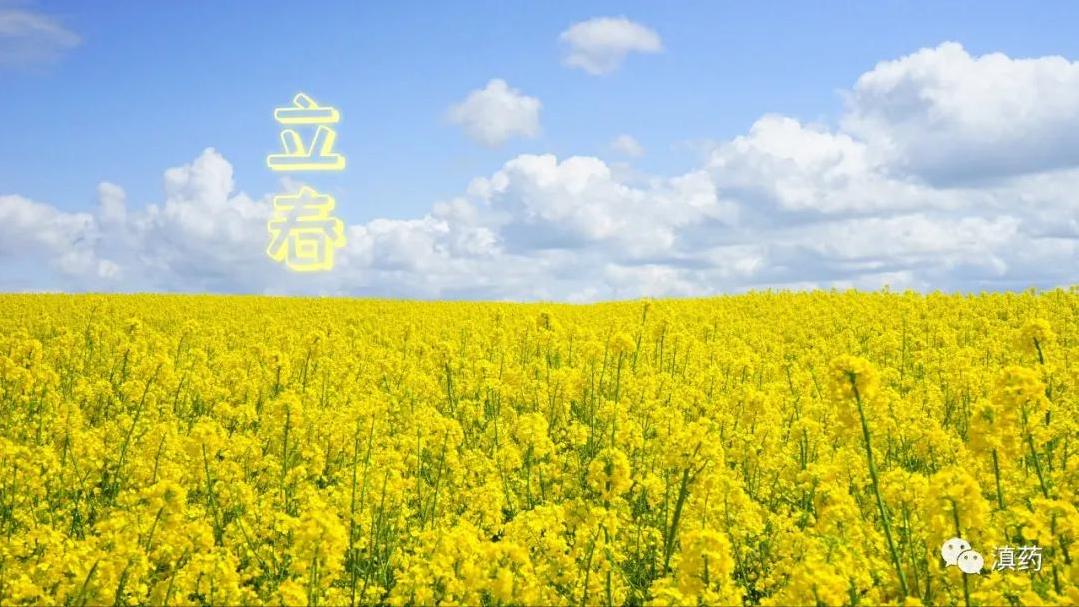 立春,春已归来,正是生发阳气之时