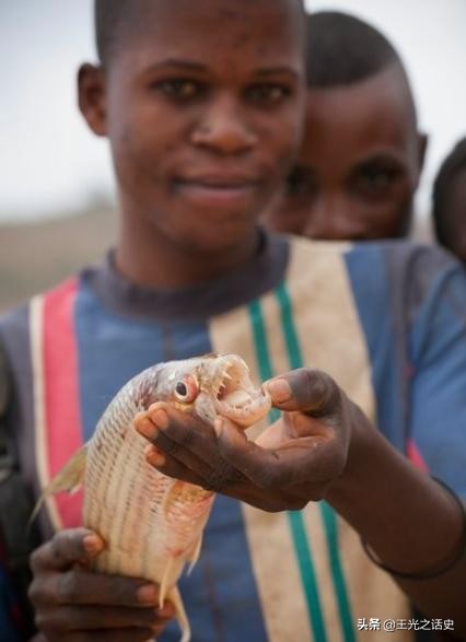 作为全非洲资源最多的国家，为什么刚果（金）如此贫穷？