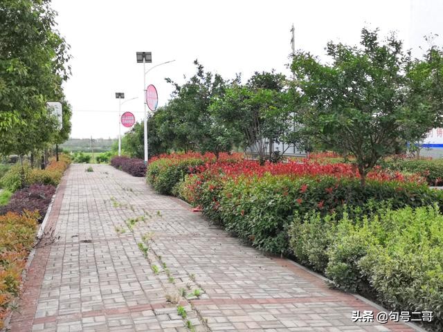 湖北省云梦县美丽乡村行,云梦伍洛美丽乡村