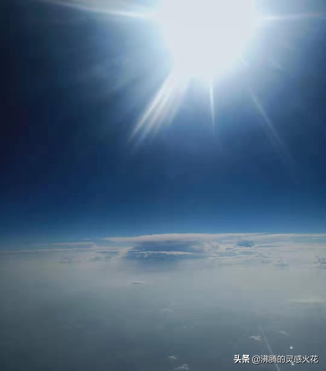 长隆野生动物世界探寻自然之美,长隆野生动物世界丛林野趣大巡游