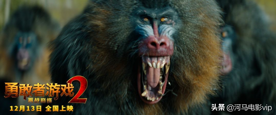 看预告就想追的番,看了预告就想追的剧