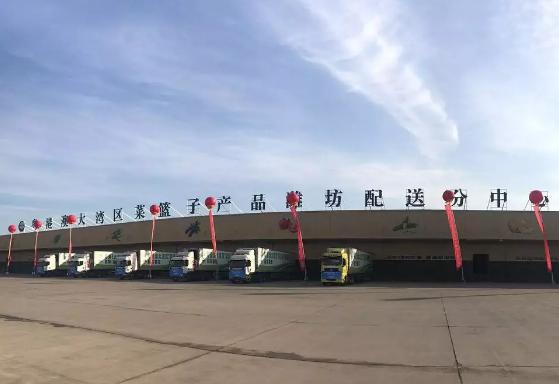 寿光菜篮子果蔬,寿光粤港澳大湾区蔬菜