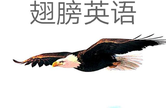 英语定语从句that与which的用法,定语从句thatwhichwhere的区别