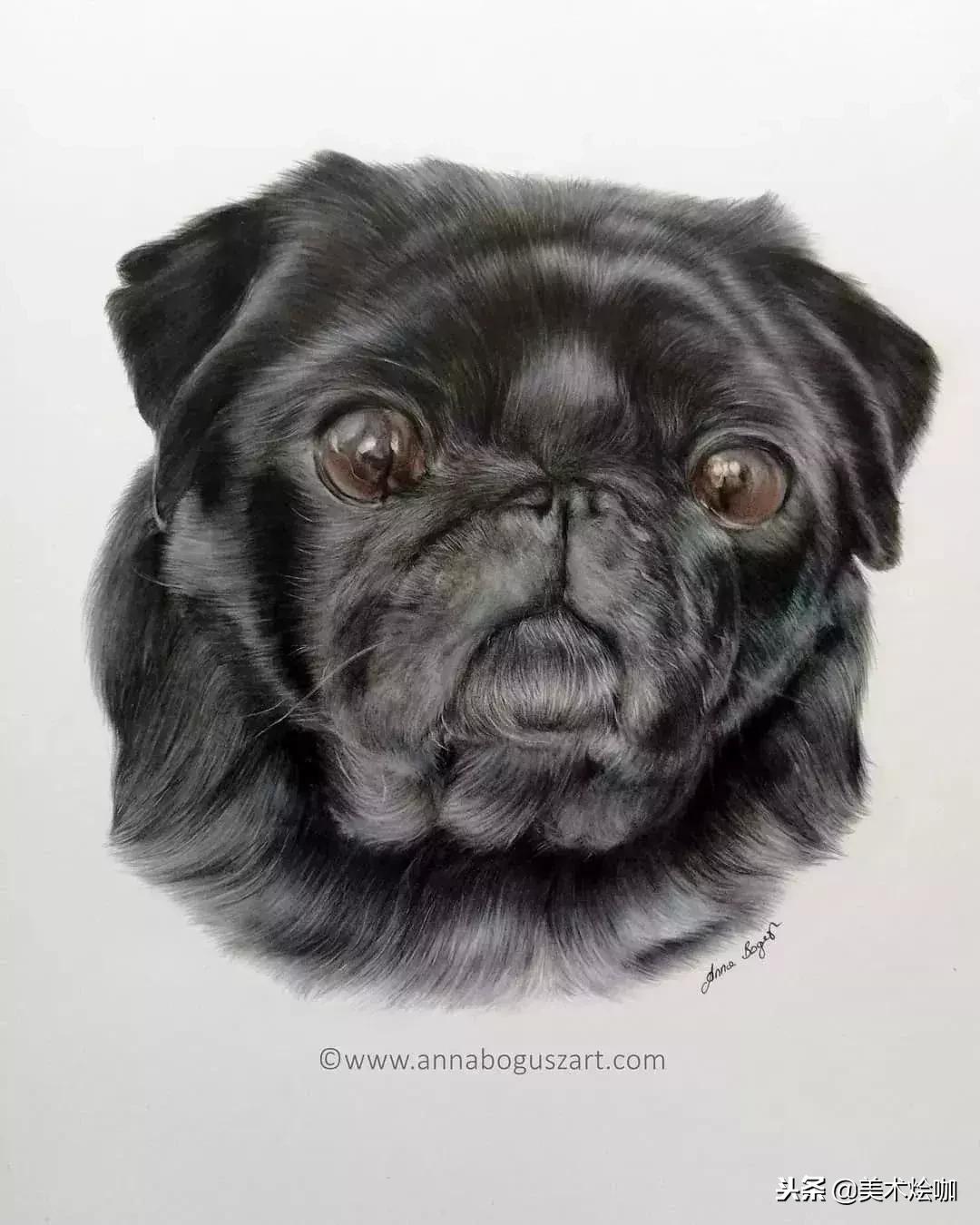 彩铅画教程超写实零基础入门,超写实彩铅画高清大图水果组合