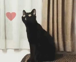 10元以内的好物假睫毛,10块一盒假睫毛