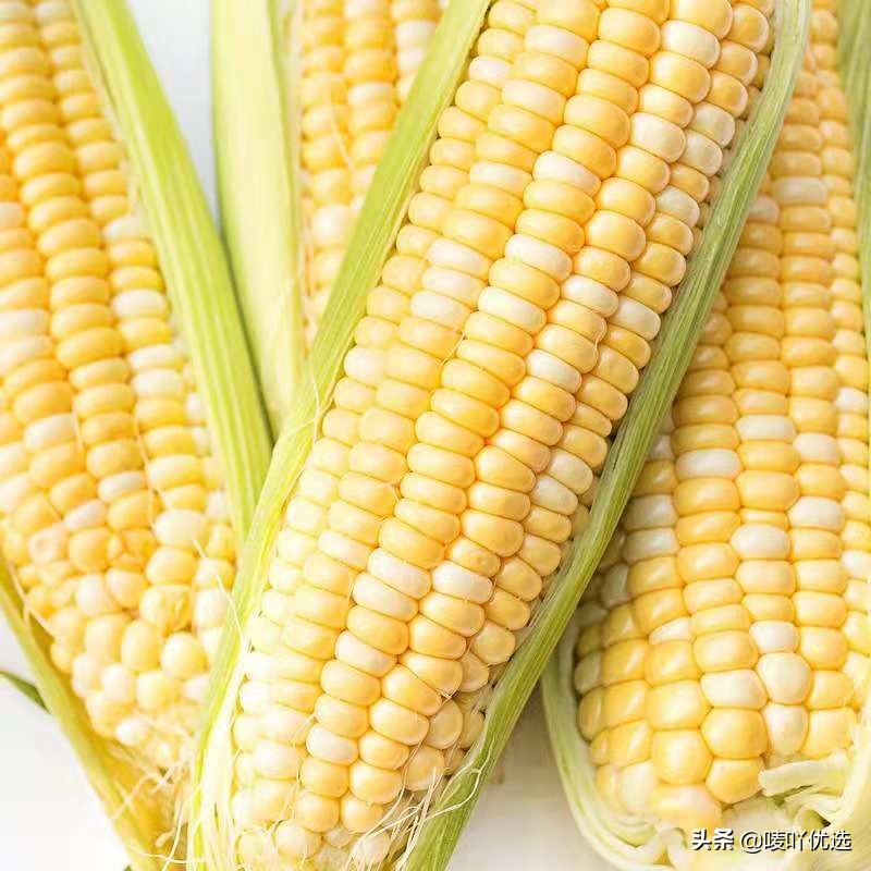 爆浆奶香水果玉米,水果玉米可以直接生吃吗