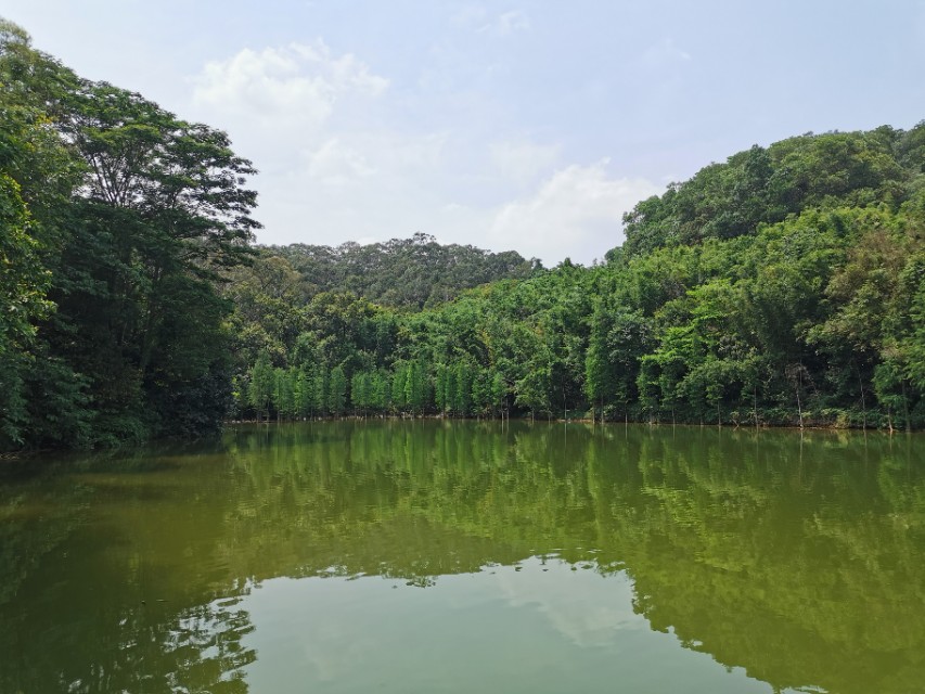 东莞长安周边一日游景点大全,东莞松山湖一日游最佳攻略