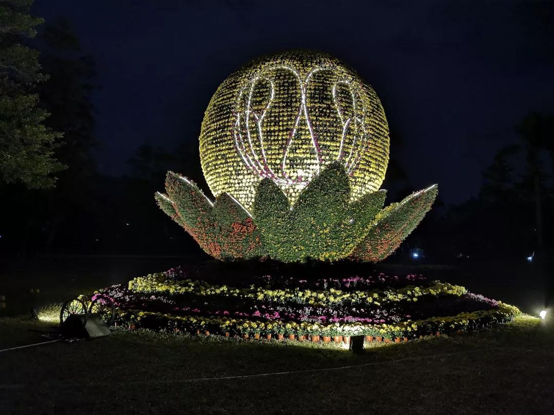 深圳东湖公园菊花展最新消息,深圳东湖公园菊花展主展在哪里