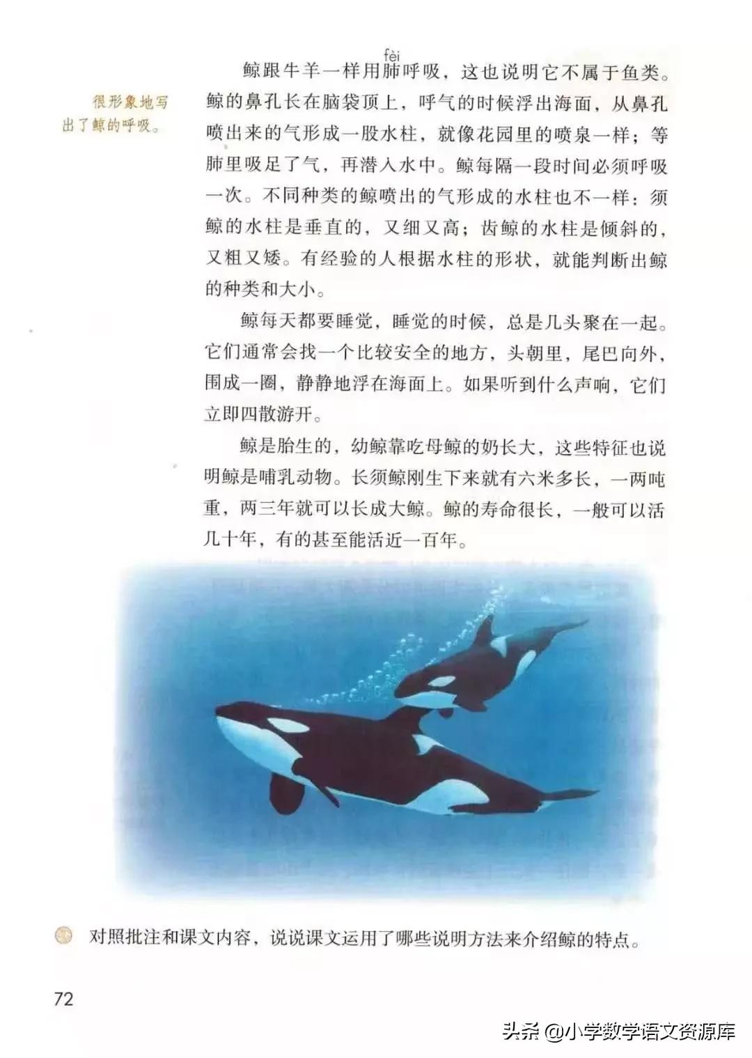 五年级上册语文电子版完整版,五年级语文上册电子版课本完整版