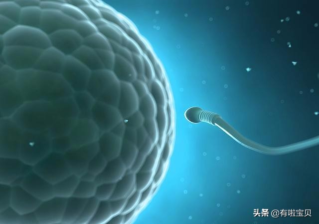 七十岁的男人还有生育力吗,生育力强大到什么程度