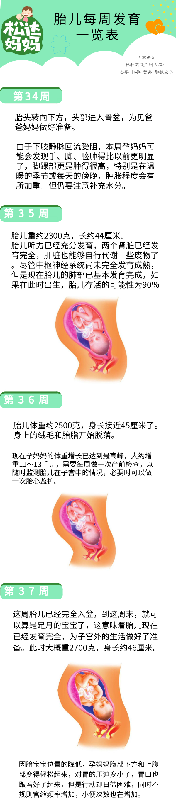 怀孕40周胎儿发育一览表，周周都有新变化！太神奇了