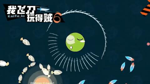 盘点近些年的爆火游戏,盘点近5年爆火手游