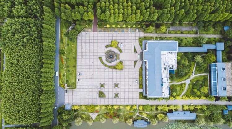 东台黄海森林公园,3000公顷森林公园畅游,绿色氧吧畅快呼吸