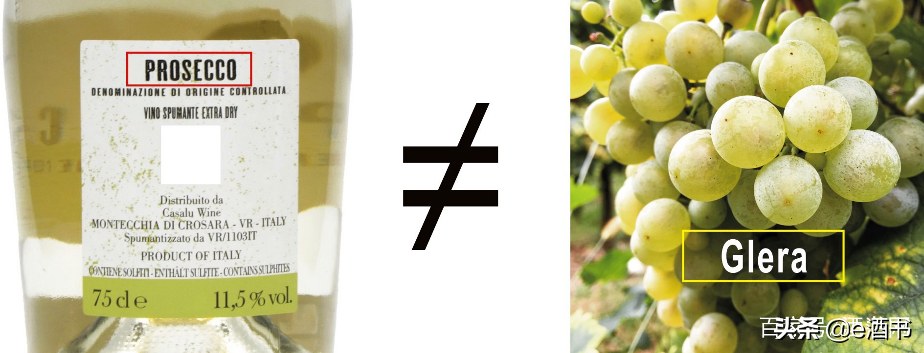 普罗赛克酒的口感,普罗塞克酒怎么样