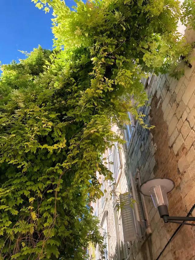 巴尔干半岛和阿尔巴尼亚,伯罗奔尼撒半岛和巴尔干半岛