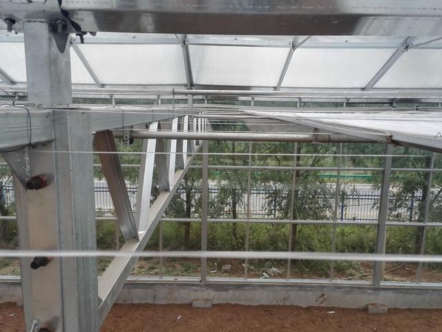 你见过高端玻璃温室大棚吗,现代农业玻璃温室大棚简介