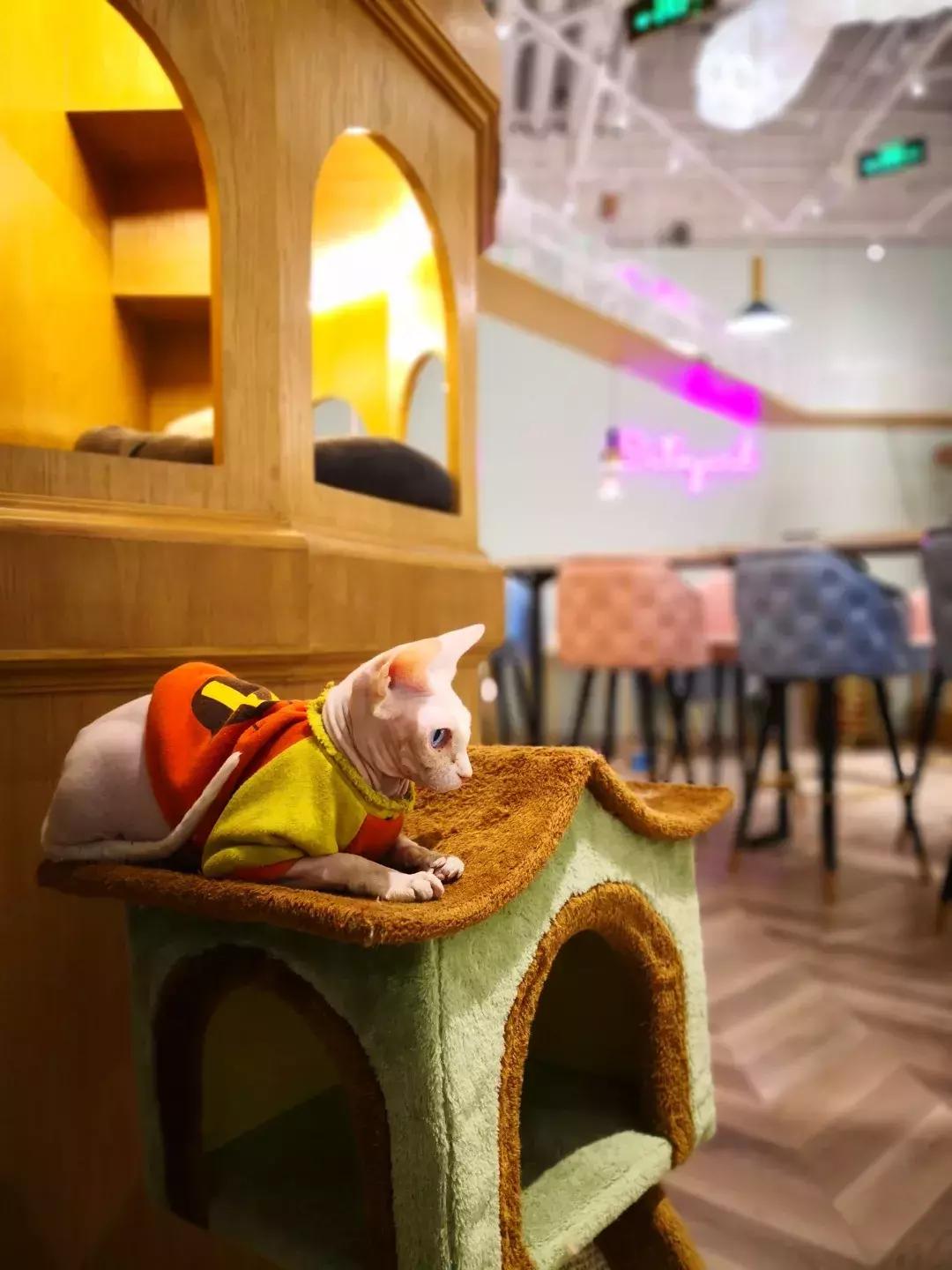 妈妈们的口碑之选，年度网红亲子商场推荐“第三弹”，朝阳大悦城