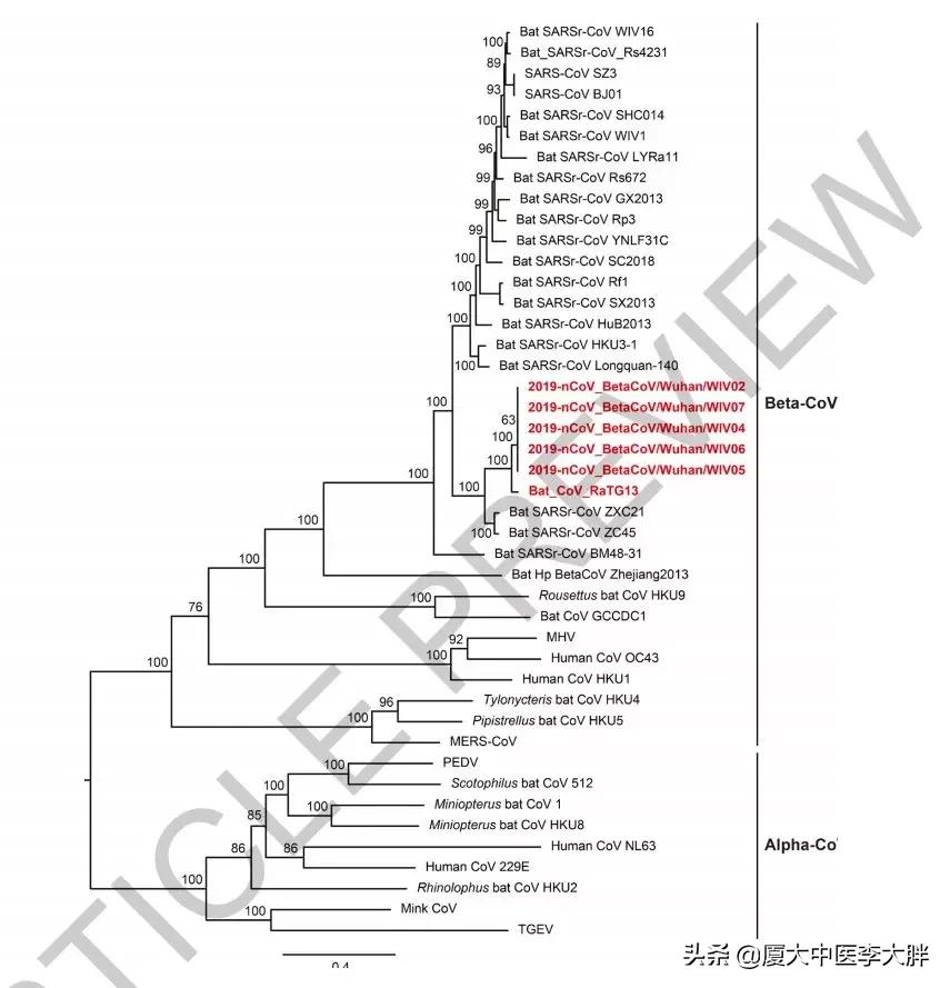 为什么新冠肺炎难治愈,新冠肺炎自愈专家
