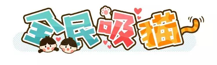 在古代，做猫奴是一种什么体验