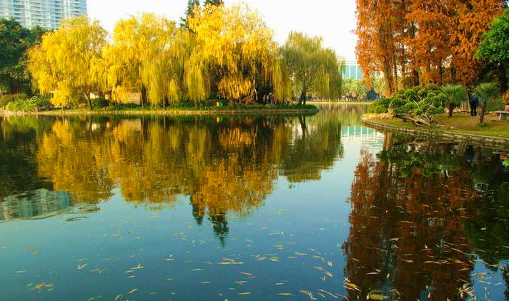 广州攻略必玩的景点2天,广州旅游必打卡的地方推荐