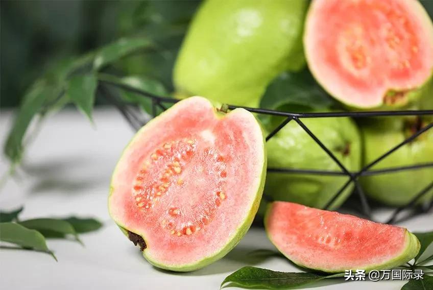 惊蛰种哪些水果,惊蛰会吃的水果叫什么名字