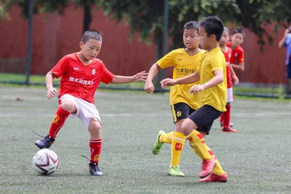 恒大足球学校给钱就能进吗,投资足球青训基地需要多少钱