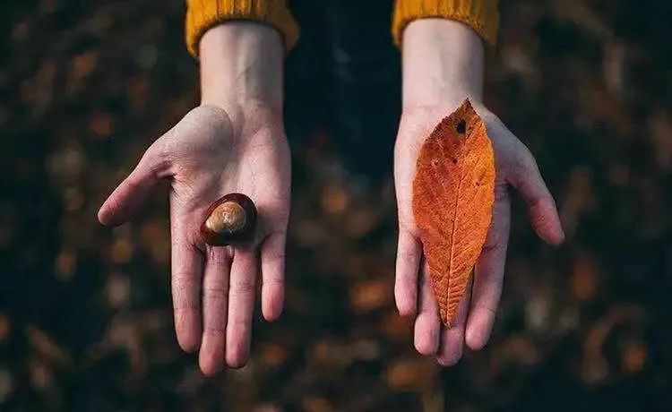 最新征稿启事稿费1000元至3000元,稿费400元征稿信息