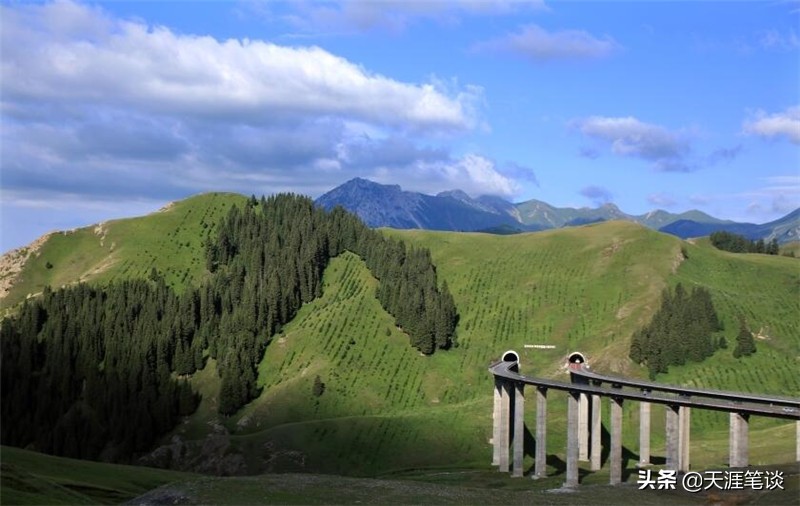 自媒体最大的收益在哪里,自媒体一个月亲身感悟