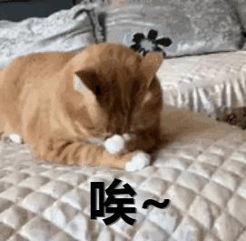 卵巢老化能彻底根治吗,老年人卵巢保养靠谱吗