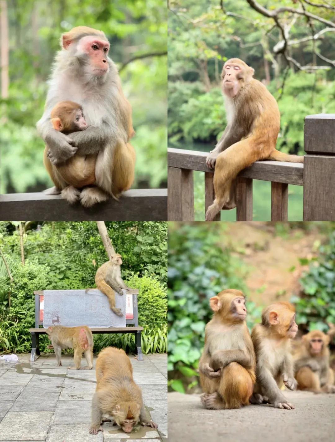 重庆暑假避暑好去处,暑假来了去哪里玩