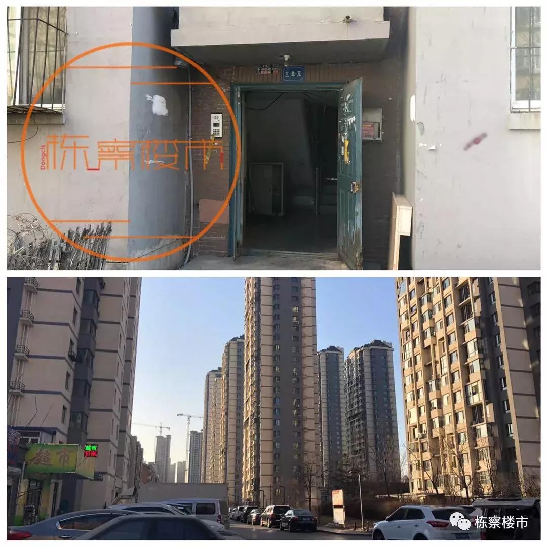 长白岛学区房都有什么学校,你真了解塞班吗