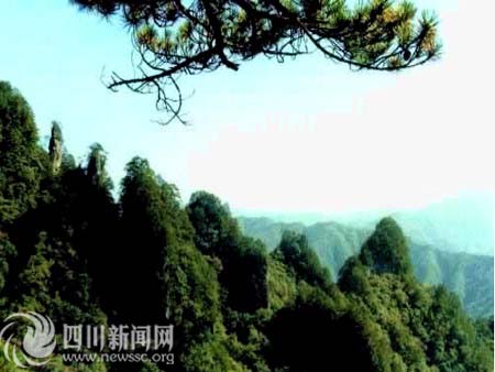 什么是巴中?这就是巴中!