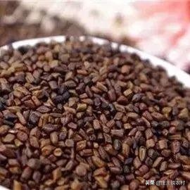 香料的正确使用方法和注意事项,卤水加桂皮的正确方法